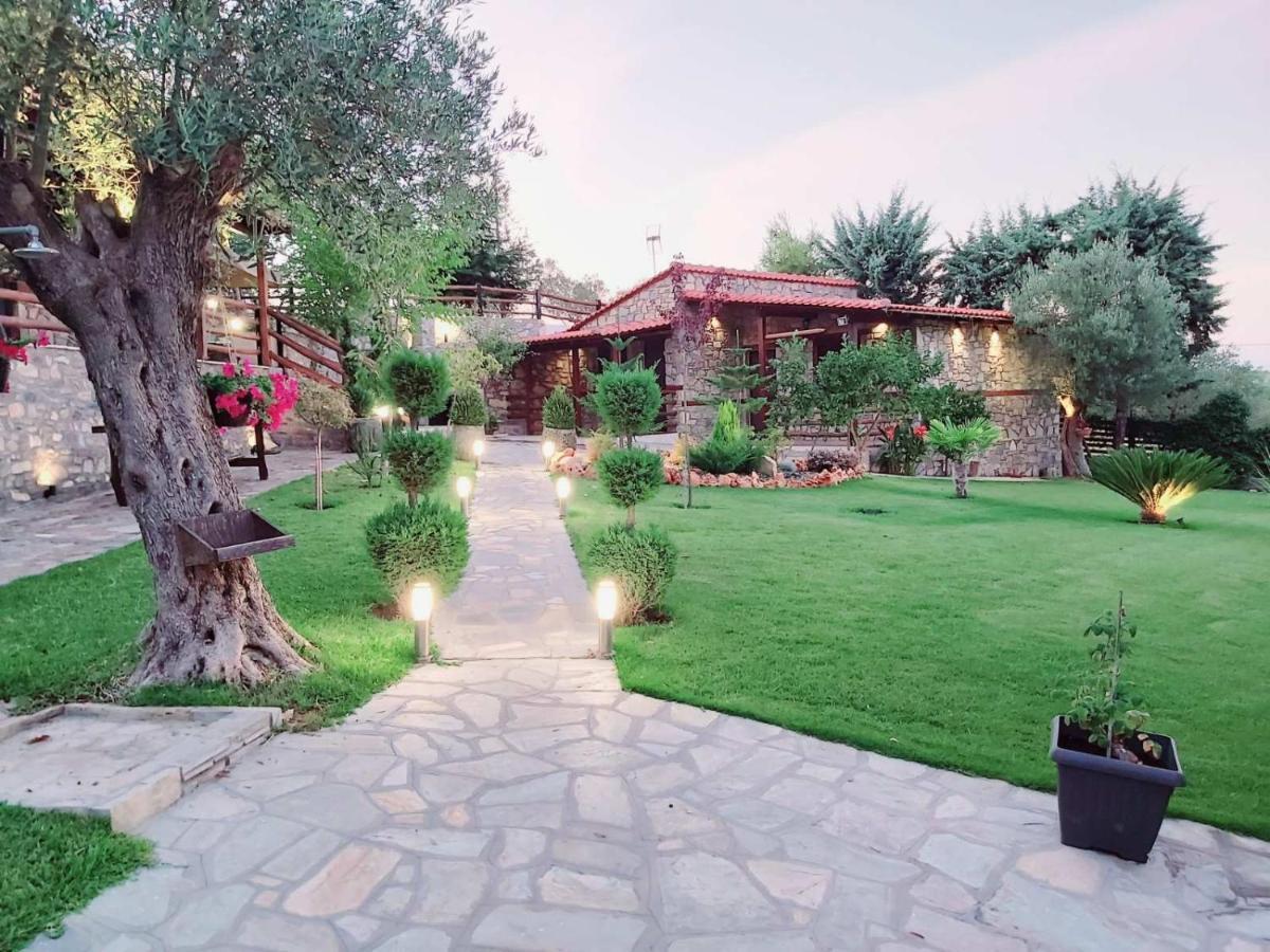 Dimitris - 4 *