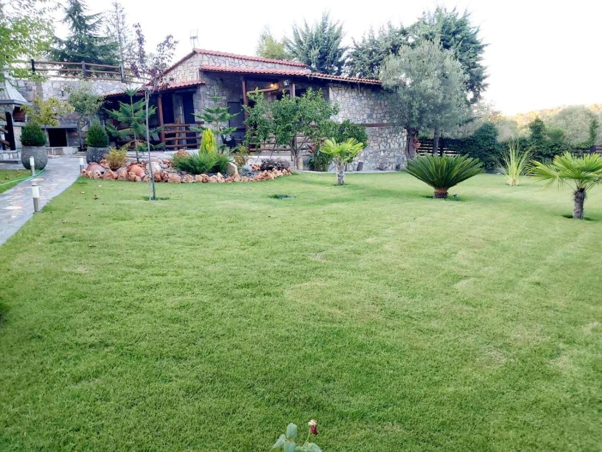 Dimitris - 4 *